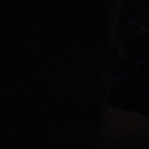 Meet your Posher, Lilly